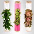 /album/cachivaches/atla011908-flowetubes-1-jpg/